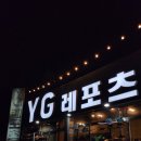 와이지포레스트