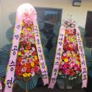 정연식당