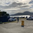 거제비타민씨 이미지