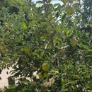 문경거점산지유통센터 이미지