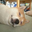 밸런스마켓 이미지