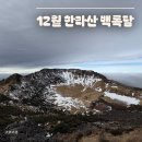구름밭 | 12월 제주 한라산 등반, 성판악~ 속밭대피소~ 진달래밭 대피소~백록담 직접 다녀온 후기 :)