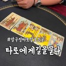 타로에 길을 묻다 | 압구정 타로 사주잘보는 곳 [타로에게길을묻다]