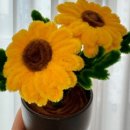 해바라기어린이집 발표회 이미지