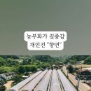 화음동정사지 이미지