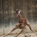 서초중앙로24길 15 이미지