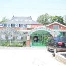 야콘냉면본가집 이미지