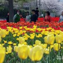 낙동강관리본부 화명생태공원 11 이미지