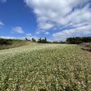 동광단지경로당 이미지