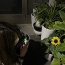 국원마트 이미지