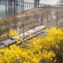 응봉산 팔각정 이미지