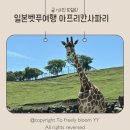 오렌터카 | 유아 동반 일본 여행 벳푸 '아프리칸 사파리' 렌터카 투어 후기