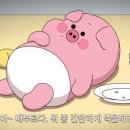 제이커틀렛 이미지