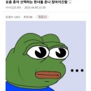 요즘 혼자 산책하는 한녀들 많아지긴 함 이미지