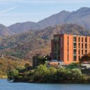 팔현로81 이미지