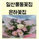 은하꽃집 이미지