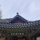 불회사 이미지