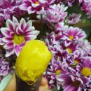 경일농장 이미지