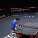하리모토 : 2025 WTT 파이널 홍콩 남자단식 참피온 #탁구 #pingpong - 이미지
