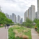 쭈꾸미,불향먹다 이미지