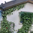 경산자인우체국 이미지