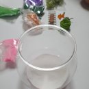 미니정원(테라리움) | 아이랑 방학 주말 집콕템 미니정원 테라리움 색모래꾸미기 홈미술