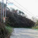 심곡심실 이미지