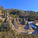 와우정사 이미지