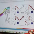 삼성글로벌정형외과의원 이미지