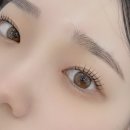 워브브로우 | 창원 도계동속눈썹펌 인생 속눈썹 완성 워브브로우 후기 가격 이벤트 대방출