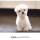 산들바람(?)。。맥주。。