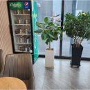 워시존 반정 이미지