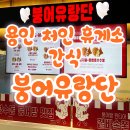 붕어유랑단 - 성동구 성덕정길 99 | 용인 처인 휴게소 간식 붕어 유랑단 포장 후기