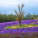 신원면-38 이미지