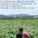 엘루민