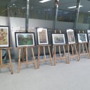 아름동도서관 이미지