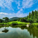 메이저골프클럽 이미지