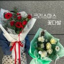 헤미쉬플레르