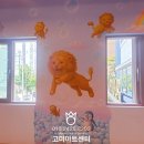사자로 주식회사 티스토리