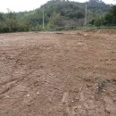 부호공인중개사사무소 이미지