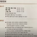 율곡로 | 창덕궁·창경궁 홍매화 실시간 후기 (관람정보, 후원예약, 포토스팟 | 지금 꼭 가야 하는 서울 꽃구경...