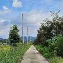 전라북도 서울장학숙 구내식당 | 9월 하반기 주간일기 :) 화이트리에 부다스밸리 어쩔수가없다 초밥에덴 자양식당 황태찜