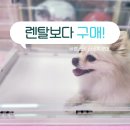 산소방