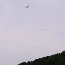 마리의 정원 이미지