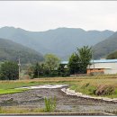 알콩달콩영농조합법인 이미지