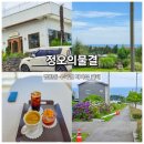 정오의물결 후기｜법환동 수국길과 함께 즐기는 제주 오션뷰 카페