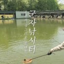 군자 낚시터 이미지