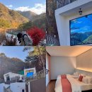 서동생활공원야외화장실 1동 | 원주 힐링포레스트 아이데리고 가기좋은 원주독채펜션 풀빌라 ( B동 , 야외바베큐 , 야외수영장) 후기