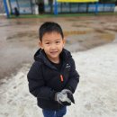 용인대용전태권도 이미지