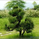 괴산(양평) 이미지